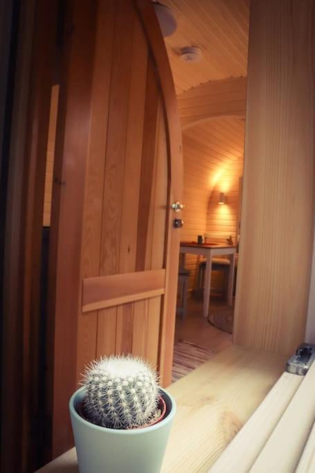 Tiny House Kotten Kunterbunt Nottuln